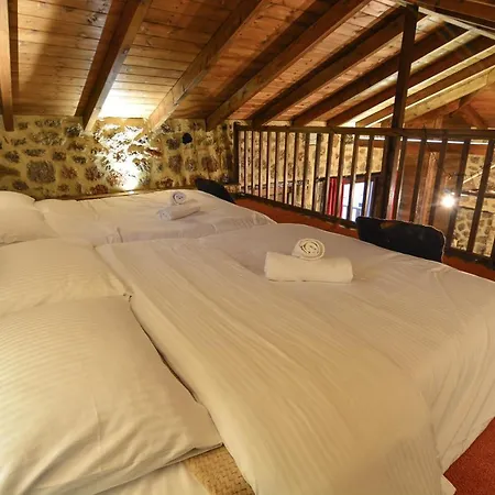 νικόλ Vila *
