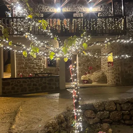 فيلة νικόλ *