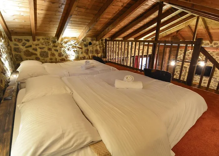 νικόλ Βίλα *